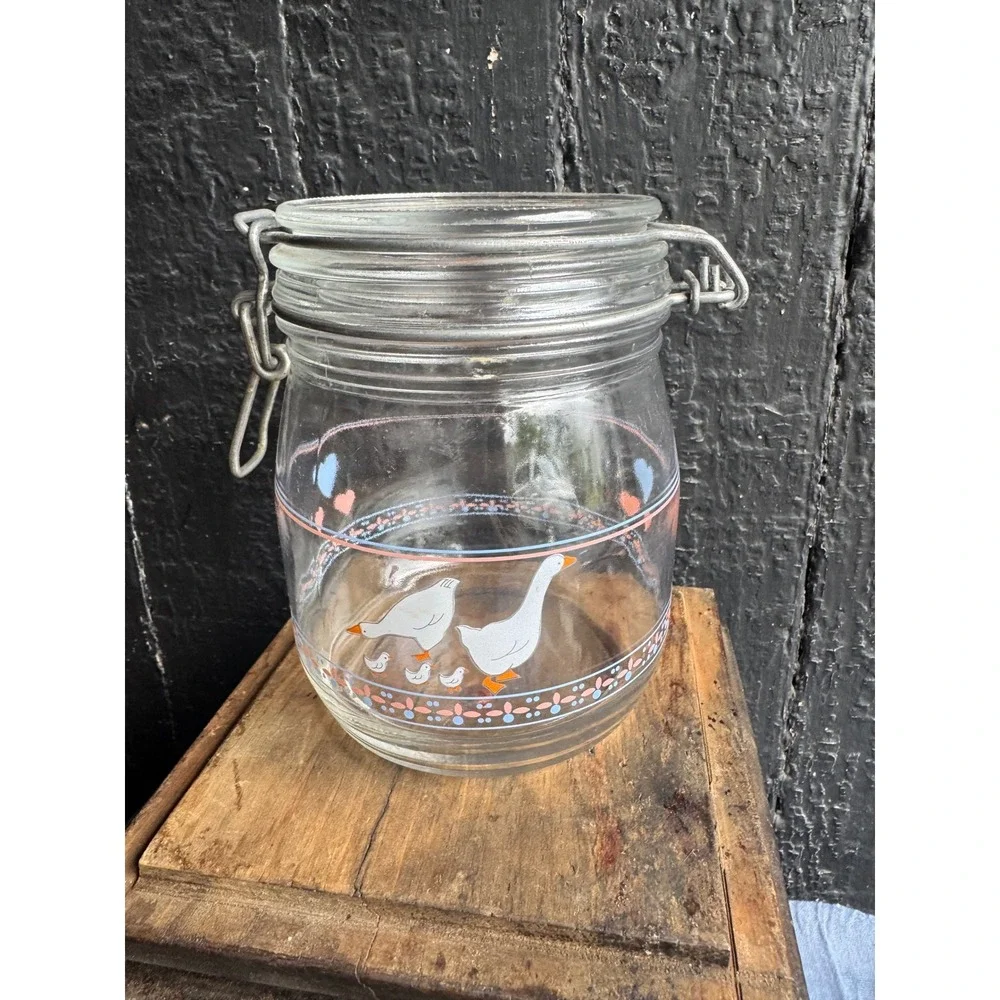 Vintage Arc France Goose Family Glass Canister Wire Bail Jar Hearts 3/4L